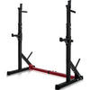 Adjustable Barbell Rack Multi-Function Dipping Station Squat Stand - Sparta Fitness